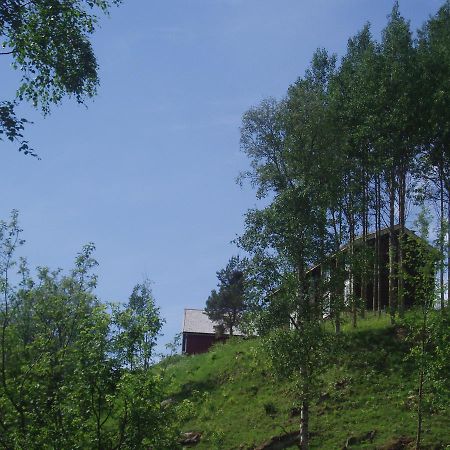 Ivaregga Vinterstua Tolga Luaran gambar