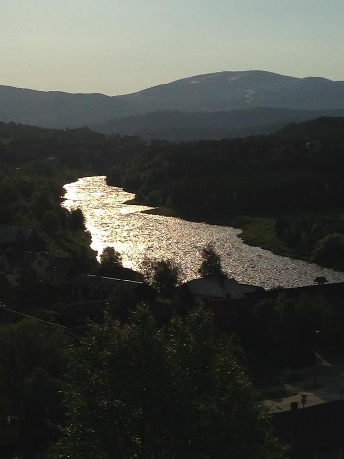 Ivaregga Vinterstua Tolga Luaran gambar