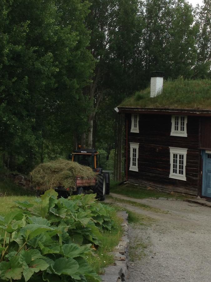 Ivaregga Vinterstua Tolga Luaran gambar