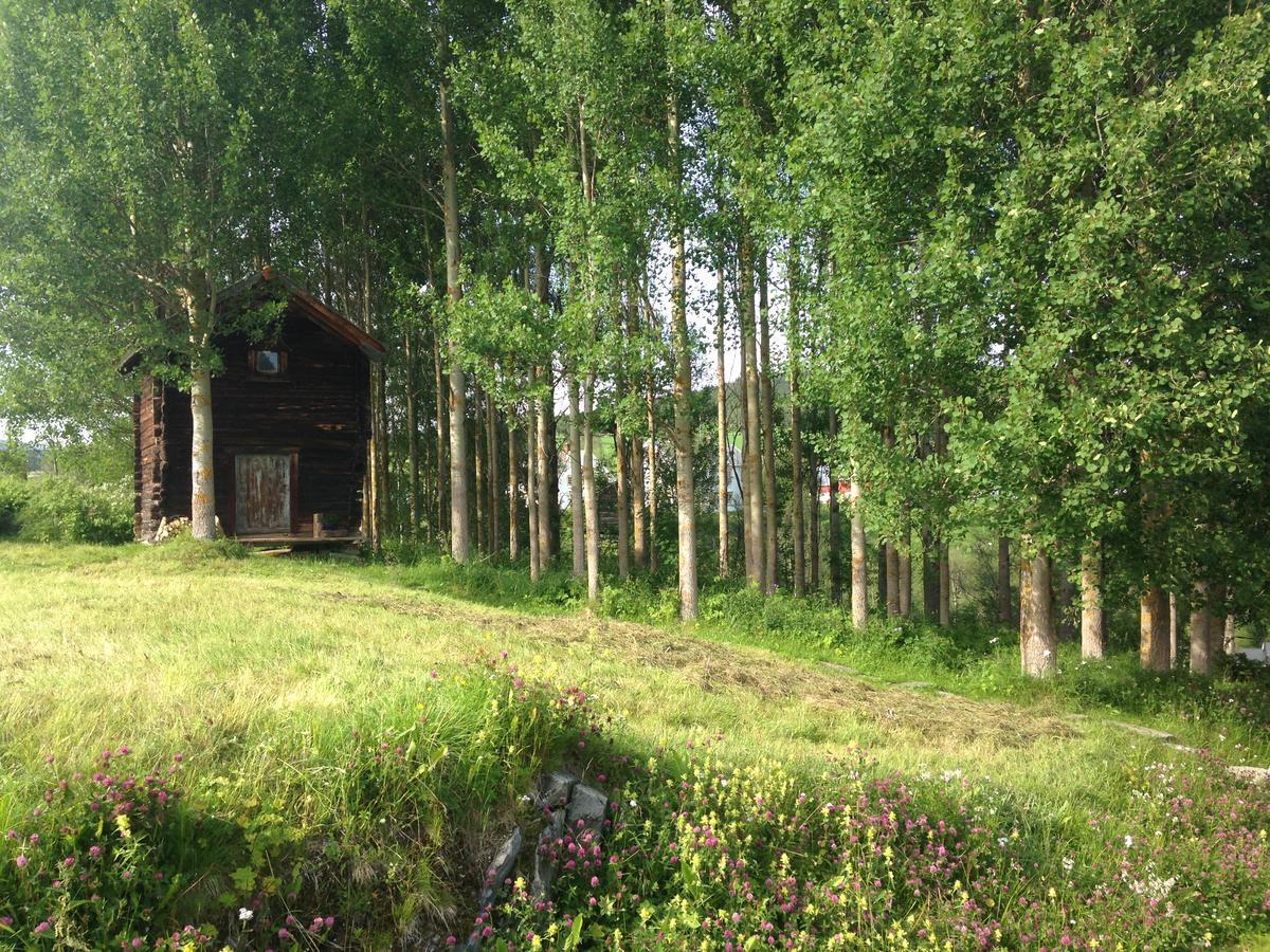 Ivaregga Vinterstua Tolga Luaran gambar