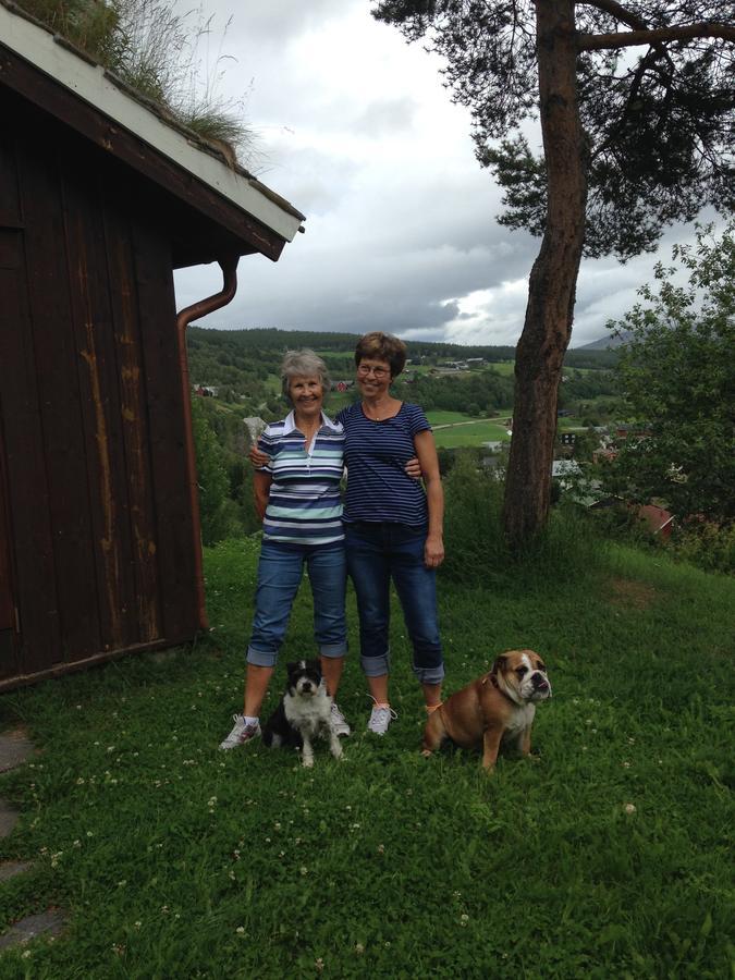 Ivaregga Vinterstua Tolga Luaran gambar