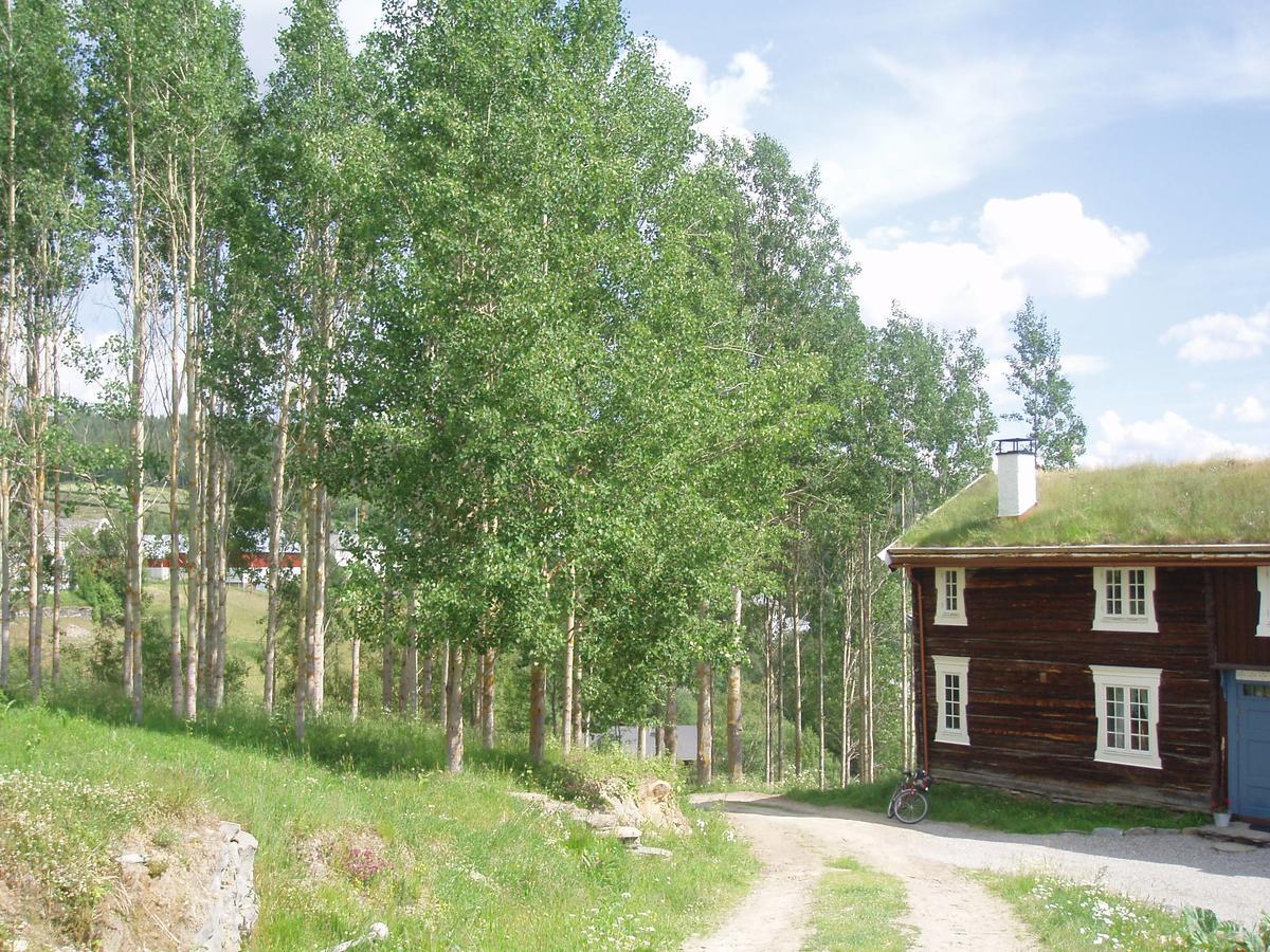 Ivaregga Vinterstua Tolga Luaran gambar